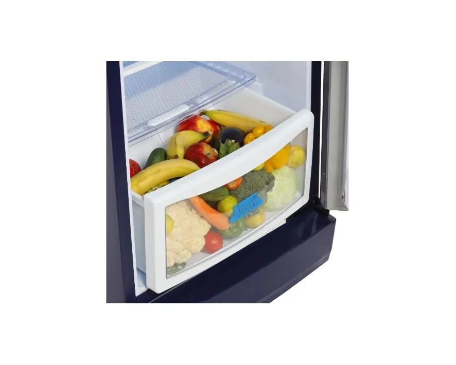 Godrej 180 L 1 Star Advanced Capillary Technology, With Jumbo Vegetable Tray Direct Cool Single Door Refrigerator( RD EDGE 205A THF GL BL, Garden Blue)
