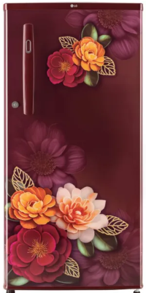 LG GL-B199ORKD 185 L Direct Cool Single Door 3 Star Refrigerator with Fast Ice Making  (Ruby Klase Finish)